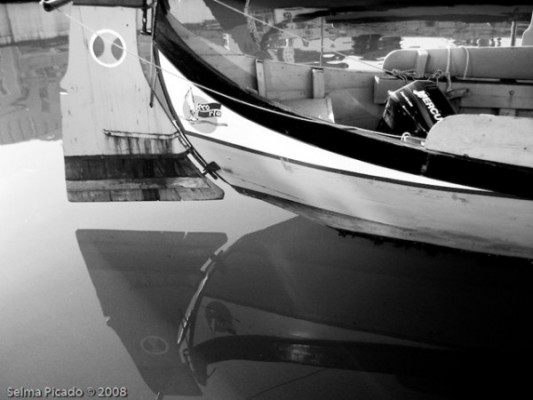 raid Fotográfico Aveiro 2008