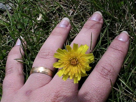 Fotografia tirada no encontro de fotografia em 17-06-2007